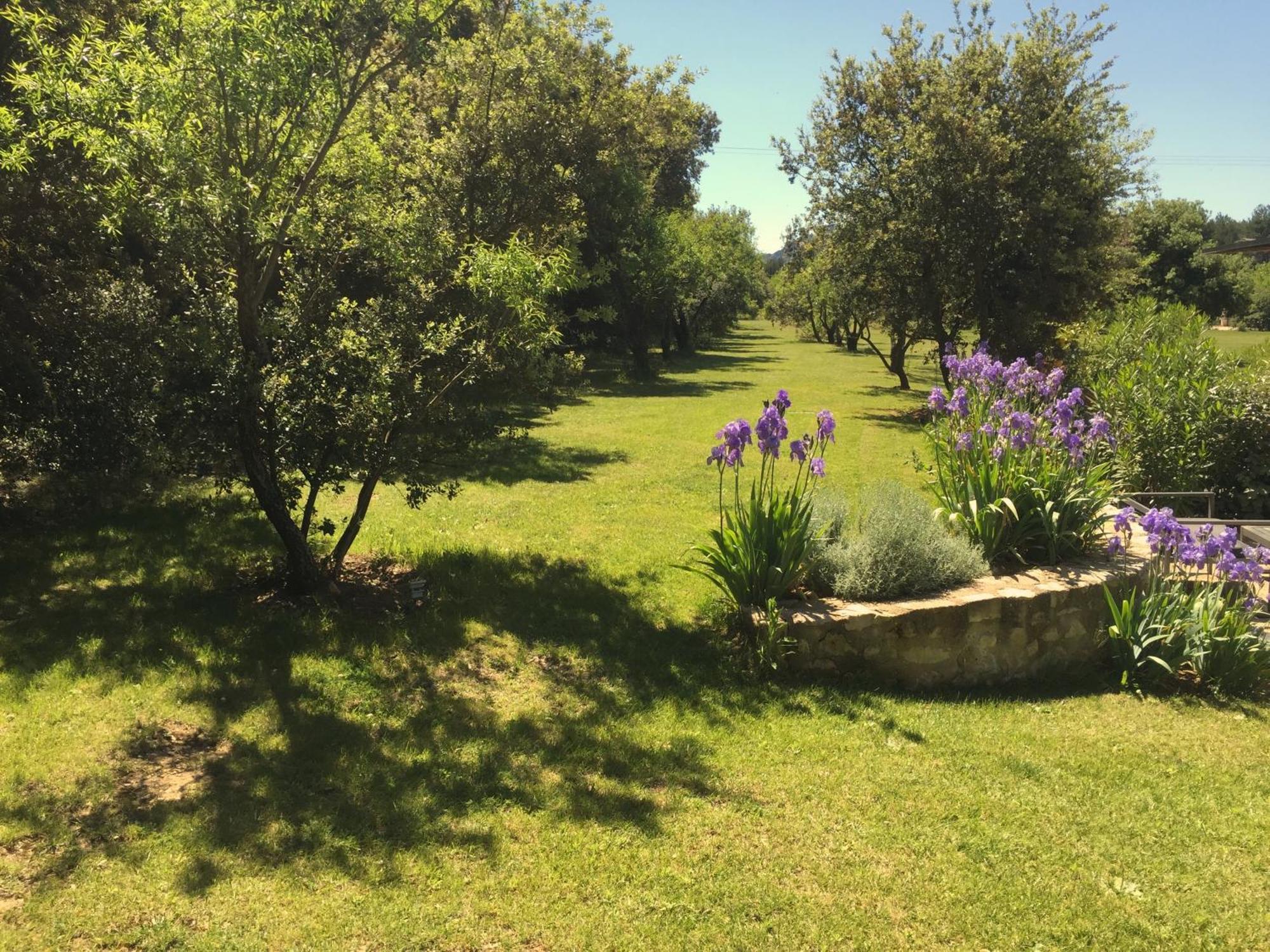 Mas Notre Dame Bed & Breakfast Eygalieres  Exterior photo